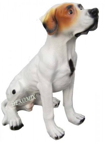 Jack Russell Terrier sitzend groß