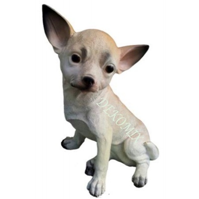 Chihuahua Hund sitzend klein