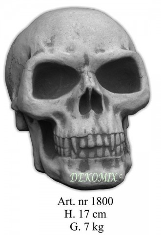 Totenkopf I Schädel Skull Skelett Kopf Halloween Party Horror Gothic Deko Prop