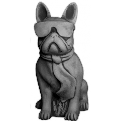 Französische Bulldogge mit Brille