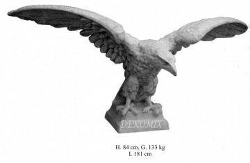 Steinadler breite Flügel groß
