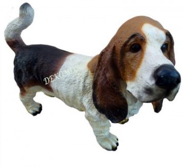 Basset Hound stehend klein