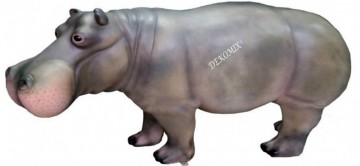 Flusspferd (Hippopotamus) XXL