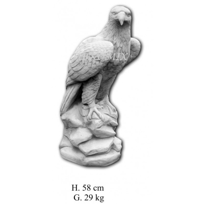 Steinadler Flügel zu mittelgroß recht schauend