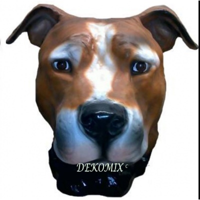 Staffordshire Bullterrier Hundekopf